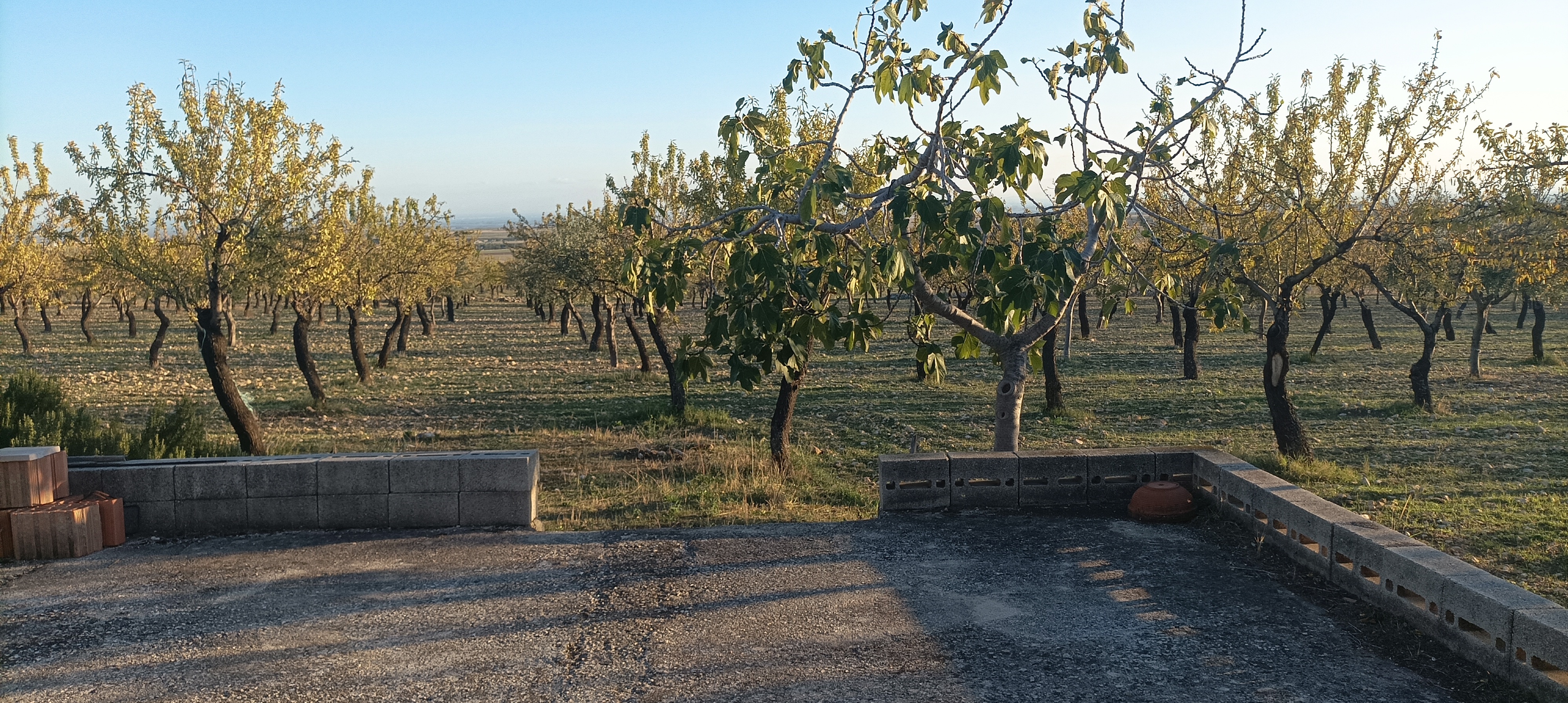 Foto 5 - Laboratorio/magazzino in Vendita in CONTRADA POLVERACCHIO, - San giovanni rotondo