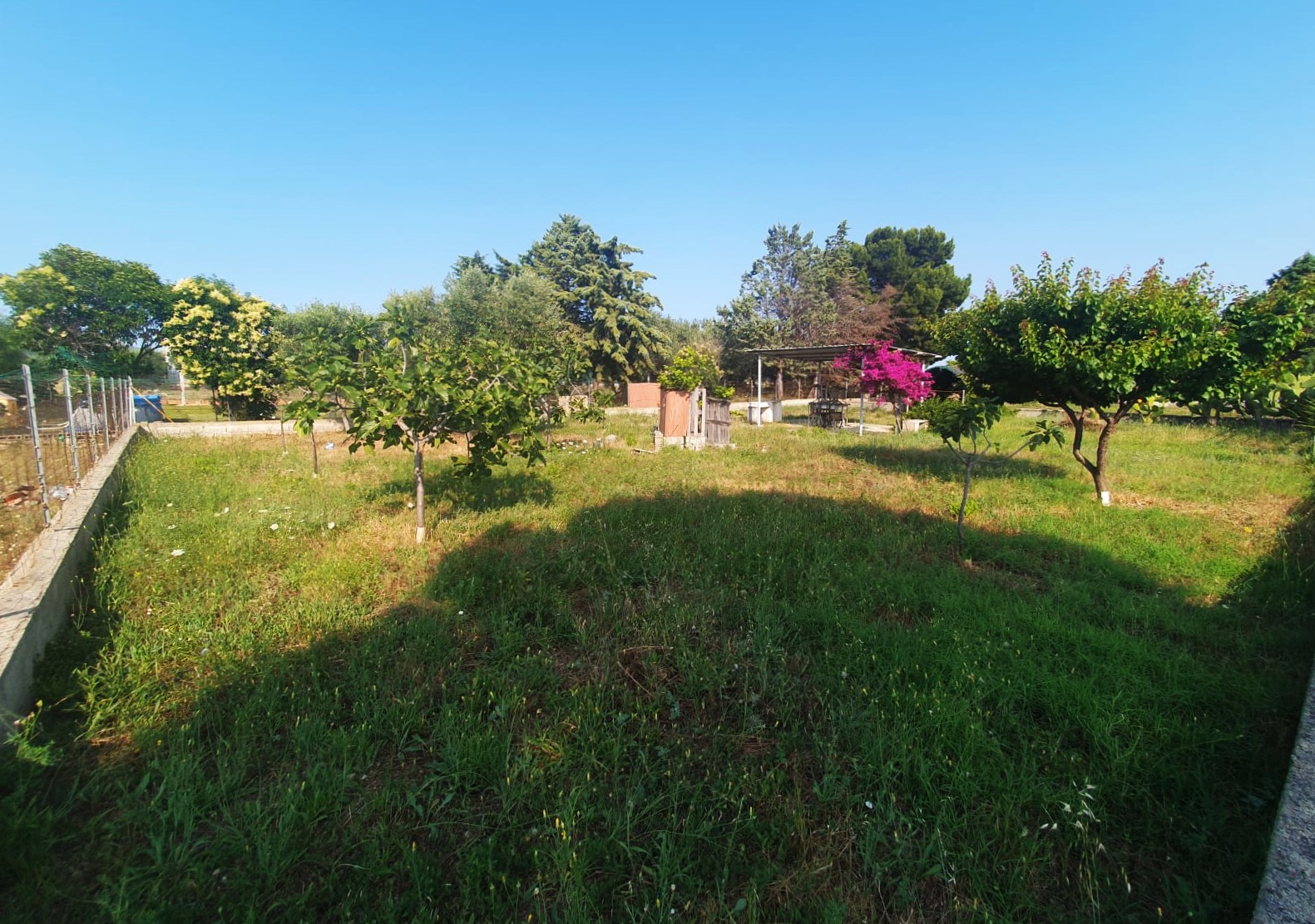 Foto 2 - Terreno in Vendita in MACCHIA, - Monte sant'angelo