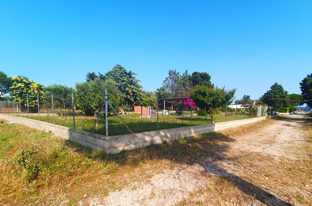 Foto 4 - Terreno in Vendita in MACCHIA, - Monte sant'angelo