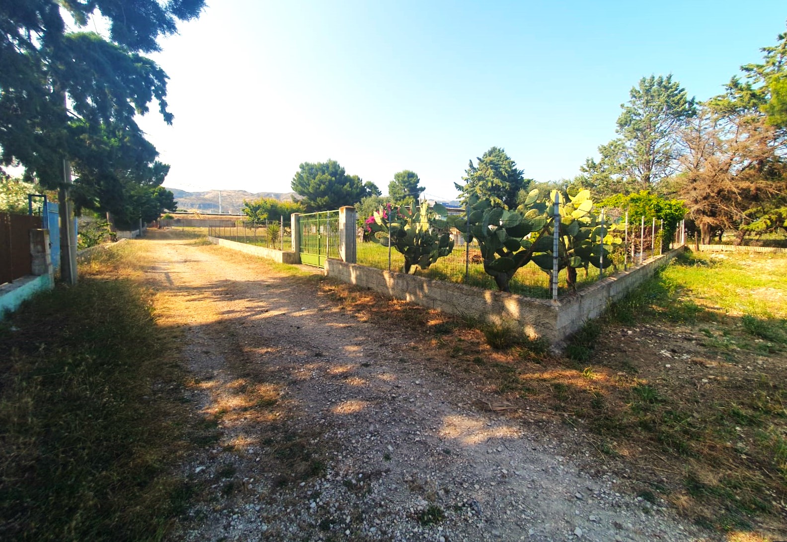 Foto 5 - Terreno in Vendita in MACCHIA, - Monte sant'angelo